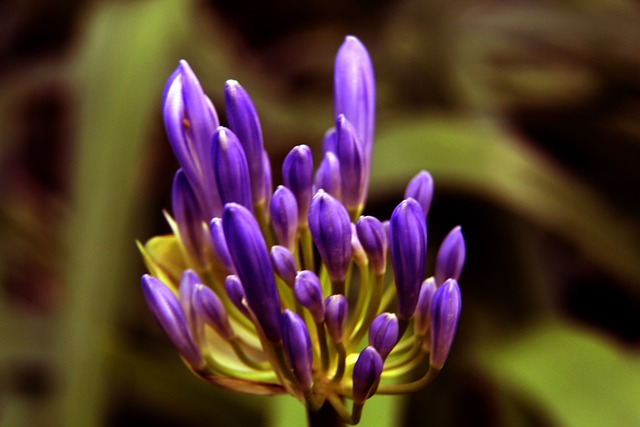 不仅具备良 不仅具备良