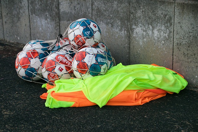 但如今的蘇 但如今的蘇