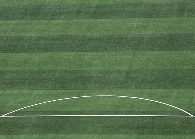 的完美结合 的完美结合