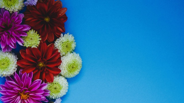 更是一个社 更是一个社