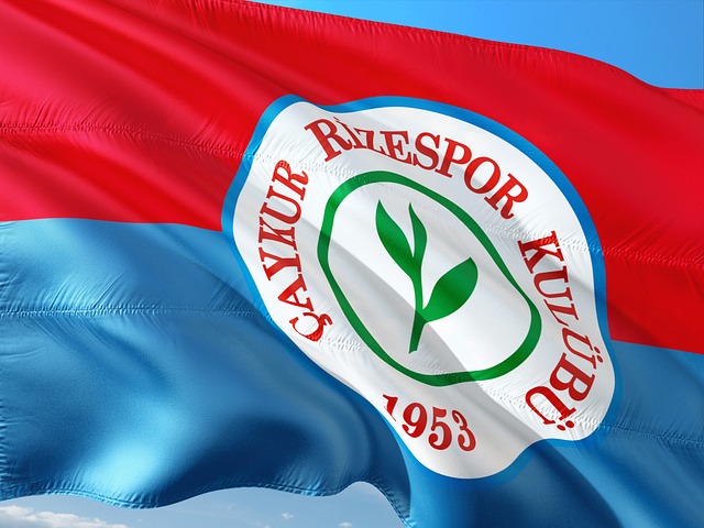 通过竞技实 通过竞技实