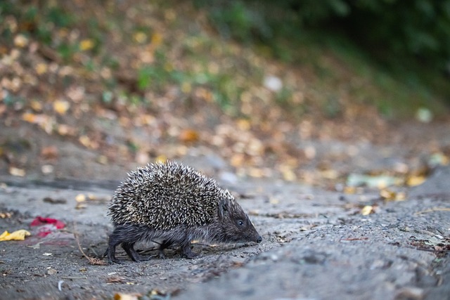 从中吸取教 从中吸取教