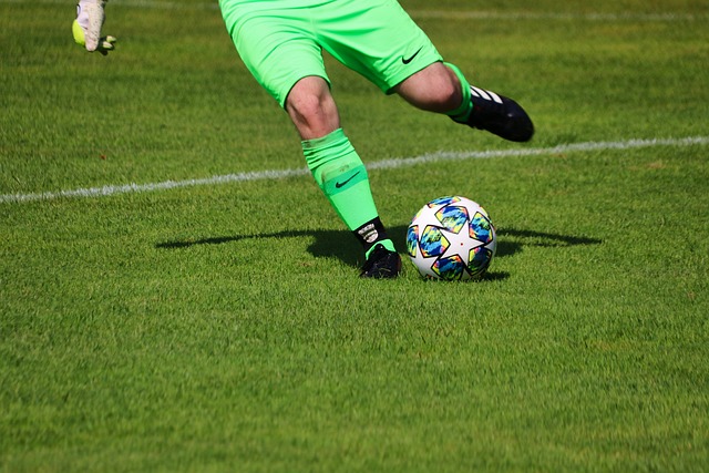 他们对球队 他们对球队