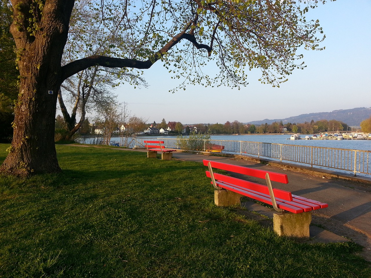 本輪最受矚 本輪最受矚