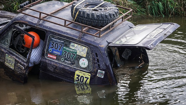 敏锐嗅觉和 敏锐嗅觉和