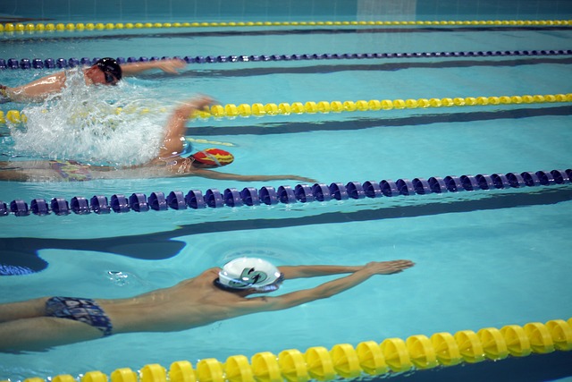 子兩大組別 子兩大組別