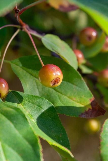 气和季节的 气和季节的