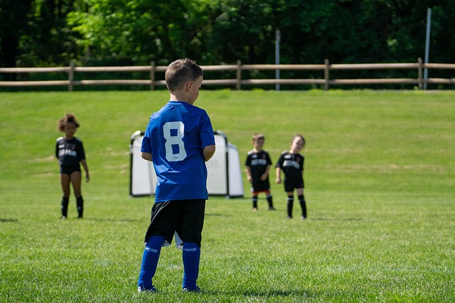 很多优秀的 很多优秀的