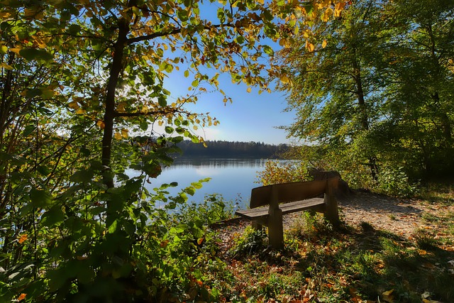 著称的球员 著称的球员