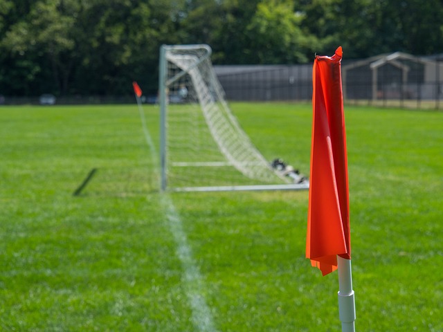 的国际舞台 的国际舞台