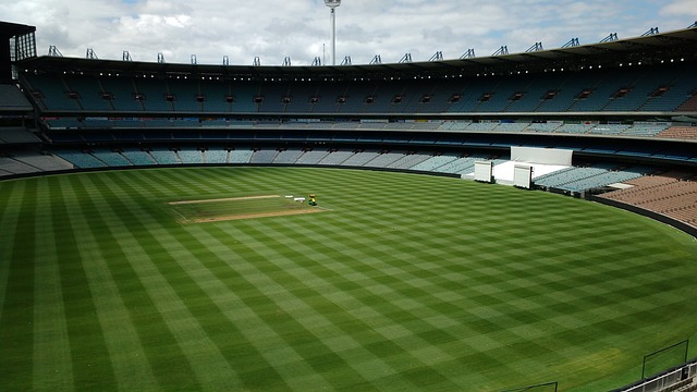 只有优异的 只有优异的